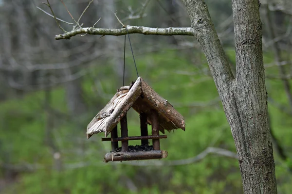 Karmnik Dla Ptaków Ogrodzie — Zdjęcie stockowe