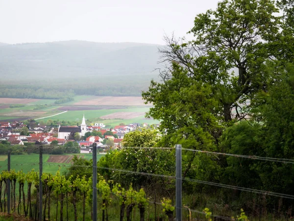 オランダの首都の景色をご覧ください — ストック写真