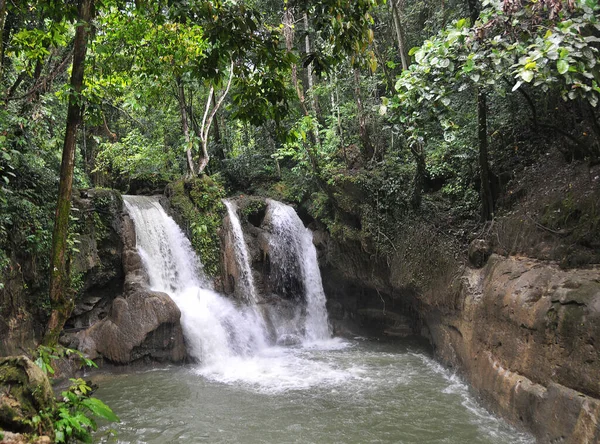 Wasserfall Wald — Stockfoto