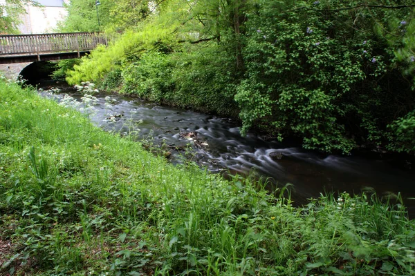 Río Con Piedras — Foto de Stock