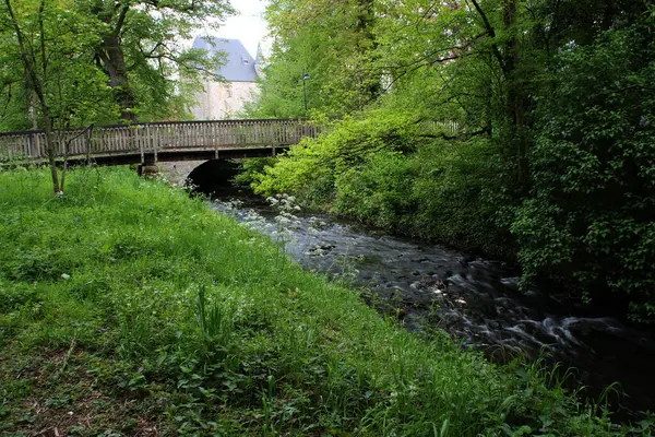 Schöne Aussicht Auf Den Fluss Park — Stockfoto