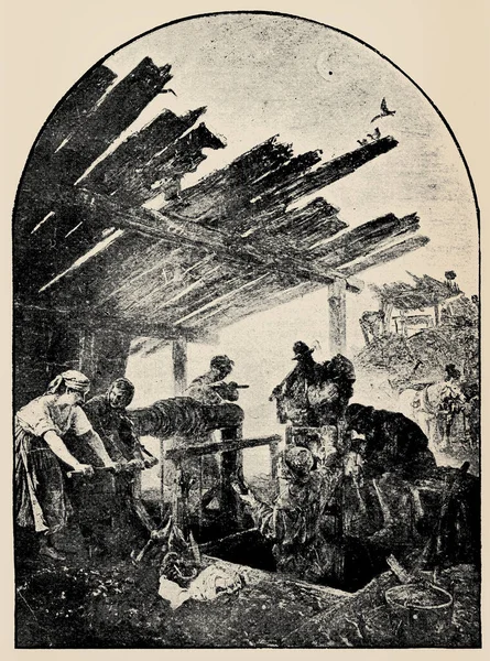 矿石提取德国画家Paul Meyerheim Century Text Pictures 一书的出版 德国柏林 1899年 — 图库照片