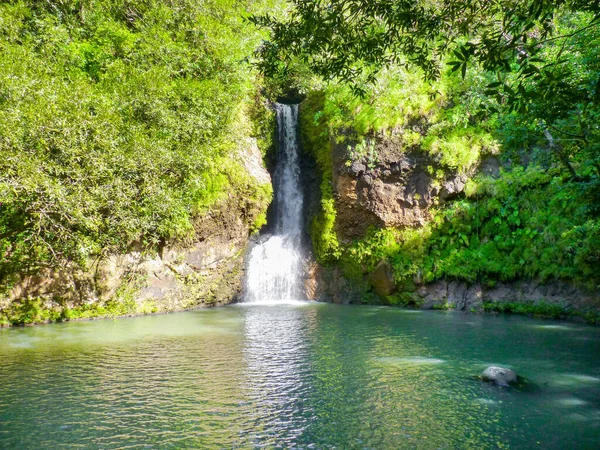 Schöner Wasserfall Wald — Stockfoto