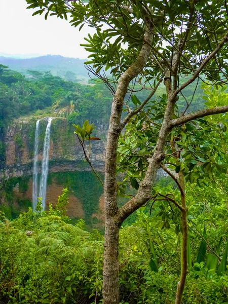 Point Vue Parc National Rivière Noire Aux Chutes Chamarel Chamarel — Photo