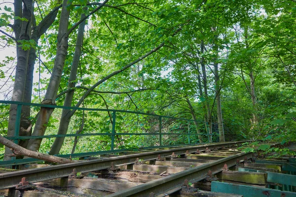 Old Hidden Railway Bridge Small Forest — Stock Photo, Image