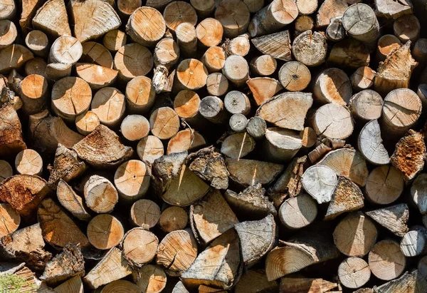 Ormana Istiflenmiş Odun Yığını — Stok fotoğraf