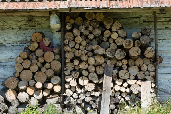 Wooden Logs Forest — Stock Photo, Image