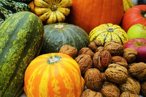 Viele Verschiedene Kürbisse Auf Einem Holztisch — Stockfoto