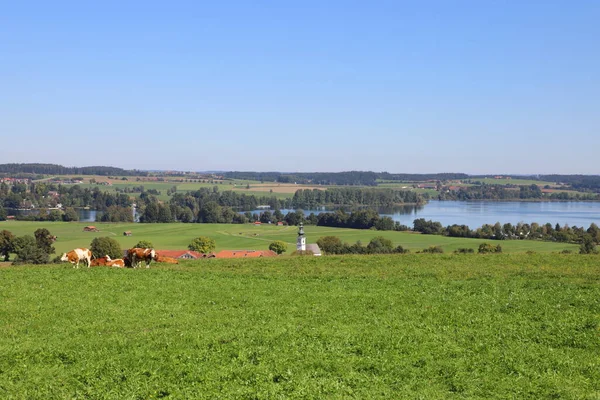 Landscape Waginger See Bajorországban Németországban — Stock Fotó