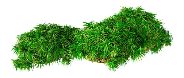 Återgivning Grön Hummock Mossa Isolerad Vit Bakgrund — Stockfoto