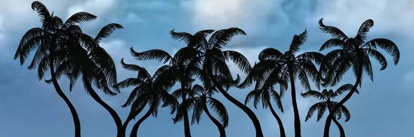 Sílhueta Palmeiras Panorama Fundo Céu Ilustração — Fotografia de Stock