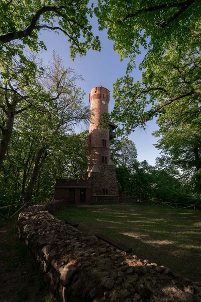 Torre Bismarck Bad Freienwalde Alemanha Uma Torre Bismarck Tipo Específico — Fotografia de Stock