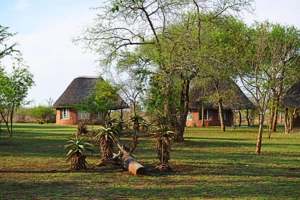 Ndlovu Camp Hlane Royal Nationalpark Swaziland Sydafrika — Stockfoto