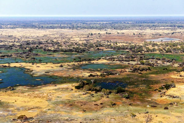 Delta Dell Okavango Botwana Africa — Foto Stock