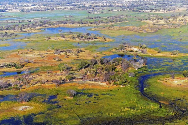 Okavango Delta Botwana Afrika — Stock Fotó