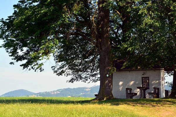 Oud Houten Huis Het Park — Stockfoto