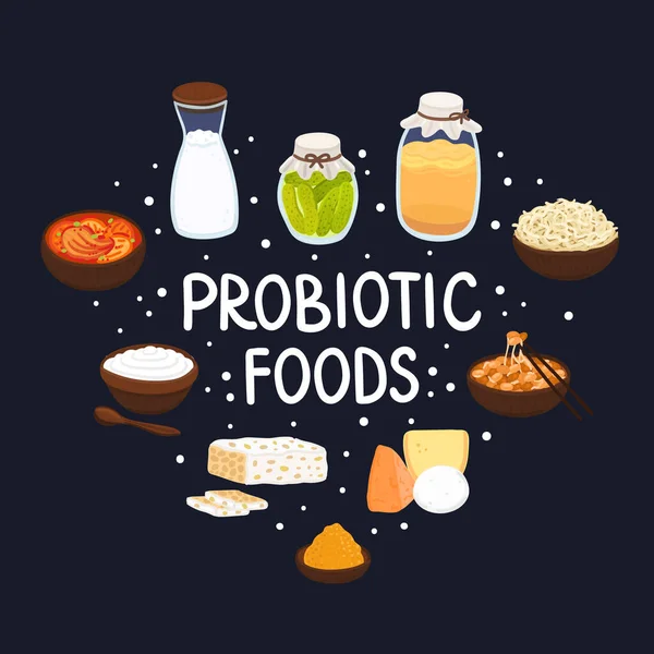 Alimentos Probióticos Vectoriales Las Mejores Fuentes Probióticos Las Bacterias Beneficiosas — Foto de Stock