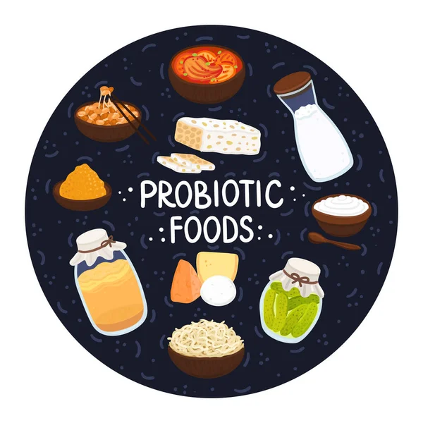 Vektor Probiotikus Ételek Legjobb Probiotikumok Forrása Jótékony Baktériumok Javítják Egészséget — Stock Fotó