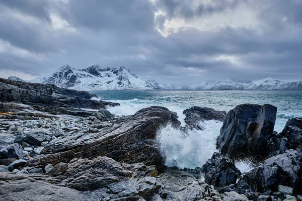 在峡湾中 挪威海浪在岩石海岸压碎 挪威Lofoten岛Vikten — 图库照片
