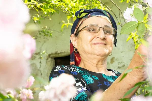 Portrait Happy Senior Muslim Woman Eyeglass Flowers Garden Home Grown — Stock Photo, Image