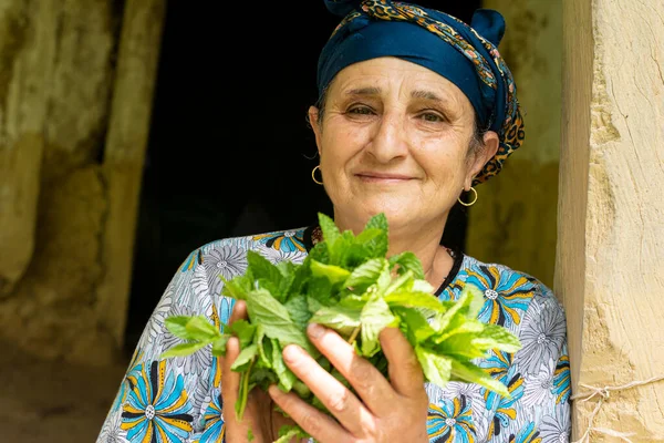 一个快乐的穆斯林老年妇女的画像 手里拿着一束春来的新鲜薄荷植物 家里种着农产品 — 图库照片