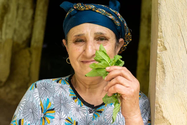 Retrato Una Mujer Musulmana Mayor Feliz Con Plantas Menta Fresca — Foto de Stock