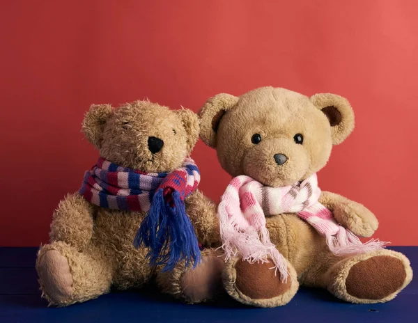 Dos Osos Peluche Bufandas Están Sentados Sobre Fondo Rojo Cerca — Foto de Stock