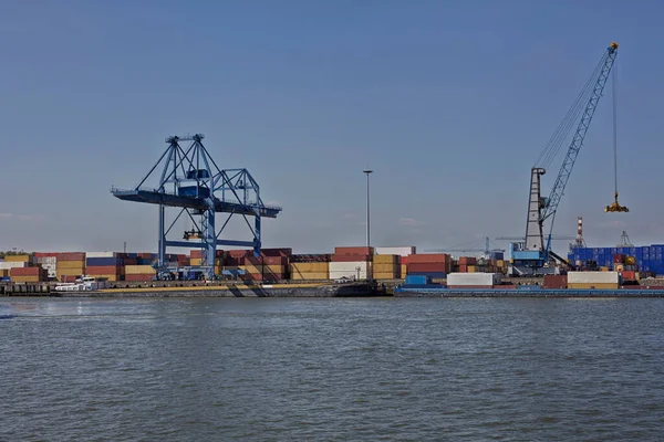 Biznes Logistyczny Ogromne Dźwigi Kontenery Słoneczny Letni Dzień Międzynarodowy Port — Zdjęcie stockowe