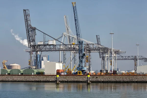 Grandi Gru Portuali Che Caricano Navi Portacontainer Nel Porto Rotterdam — Foto Stock