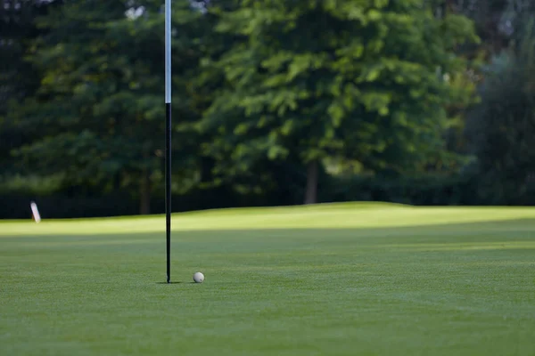 Golf Pálya Gyönyörű Táj Egy Golfpálya Fák Zöld — Stock Fotó