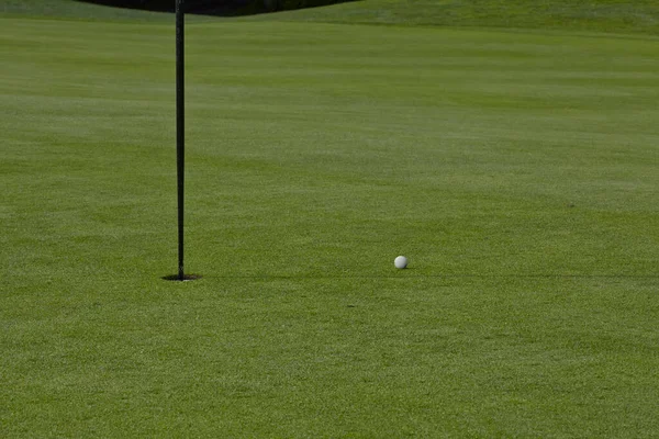 Campo Golf Bellissimo Paesaggio Campo Golf Con Alberi Erba Verde — Foto Stock