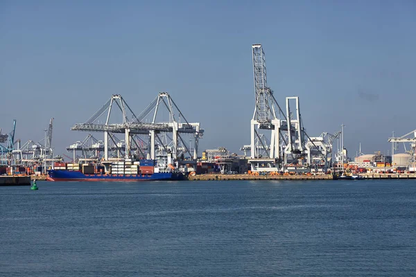 荷兰鹿特丹港装载集装箱船的大型港口起重机 — 图库照片