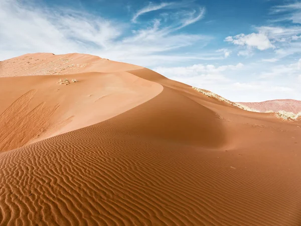 Dunes Désert Namibien Arbres Morts Dans Peloton Sossusvlei Parc National — Photo