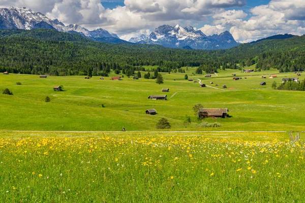 Des Prairies Enchanteresses Bosse Printemps — Photo