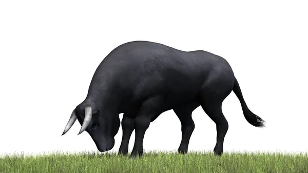 Bull Separato Sfondo Bianco Illustrazione — Foto Stock