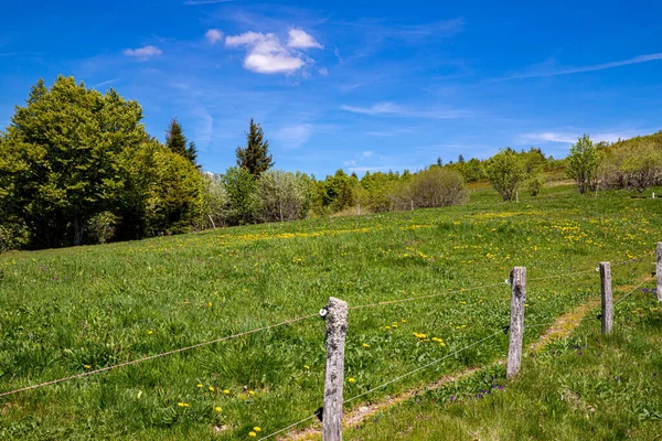 Wunderschöne Landschaft Mit Holzzaun Und Blauem Himmel — Stockfoto