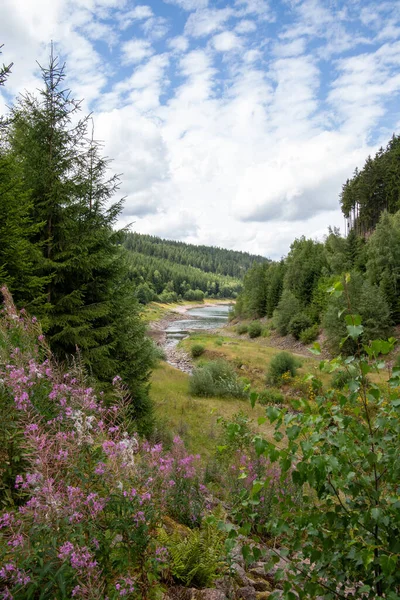 Beau Paysage Avec Une Rivière Dans Les Montagnes — Photo