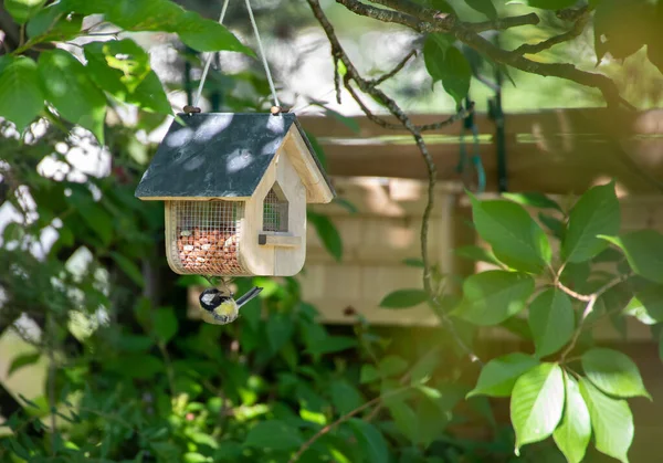 Bahçedeki Kuş Evi — Stok fotoğraf
