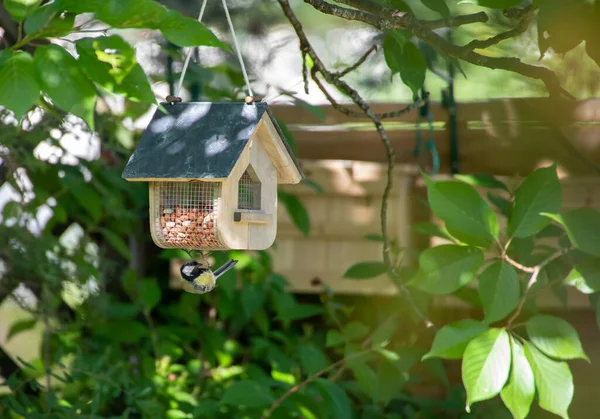 Vogelhuisje Tuin — Stockfoto