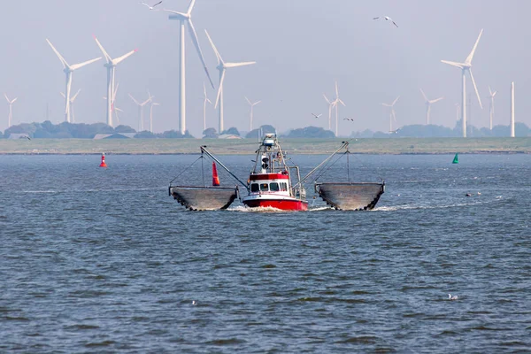 Wind Boat Sea — Stock Photo, Image