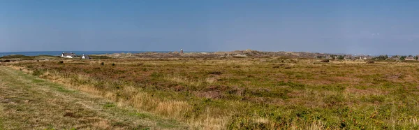 Vertical Shot Beach Large Green Grass Cloudy Sky — Stock Photo, Image