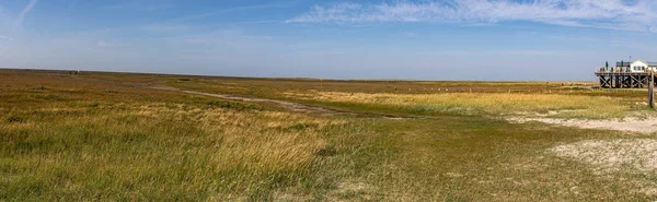 Pradera Sal Vatios Frente Sankt Peter Ording —  Fotos de Stock