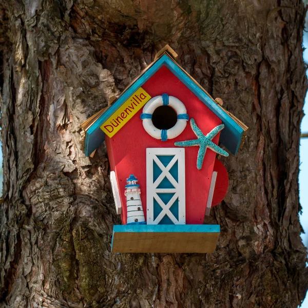 Vogelfutterhäuschen Auf Einem Baum — Stockfoto
