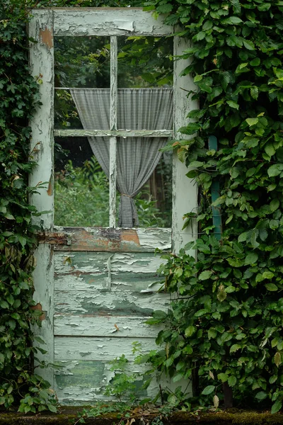 Stare Wietrzne Wiejskie Zielone Drzwi Uprawiane Bluszczem Tajemnicy — Zdjęcie stockowe