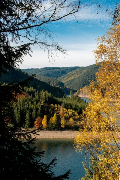 Krásná Podzimní Krajina Stromy Lesem — Stock fotografie