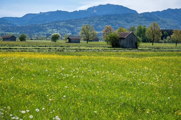 Beautiful Landscape Small Village Mountains — Stock Photo, Image