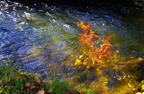 Hermoso Paisaje Otoño Con Río — Foto de Stock