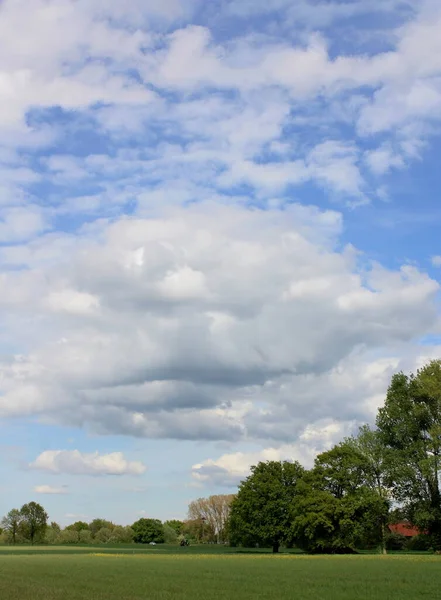 Champ Vert Ciel Bleu — Photo