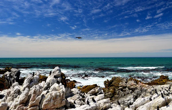 Vacker Utsikt Över Havet — Stockfoto