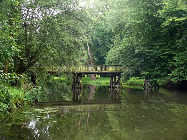 Dřevěný Most Lese — Stock fotografie